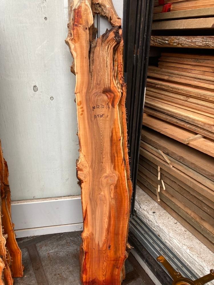 Pacific Yew